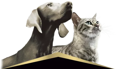 Pro Plan Veterinary diets Pro Plan Veterinary diets